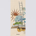 Immagine diapositiva