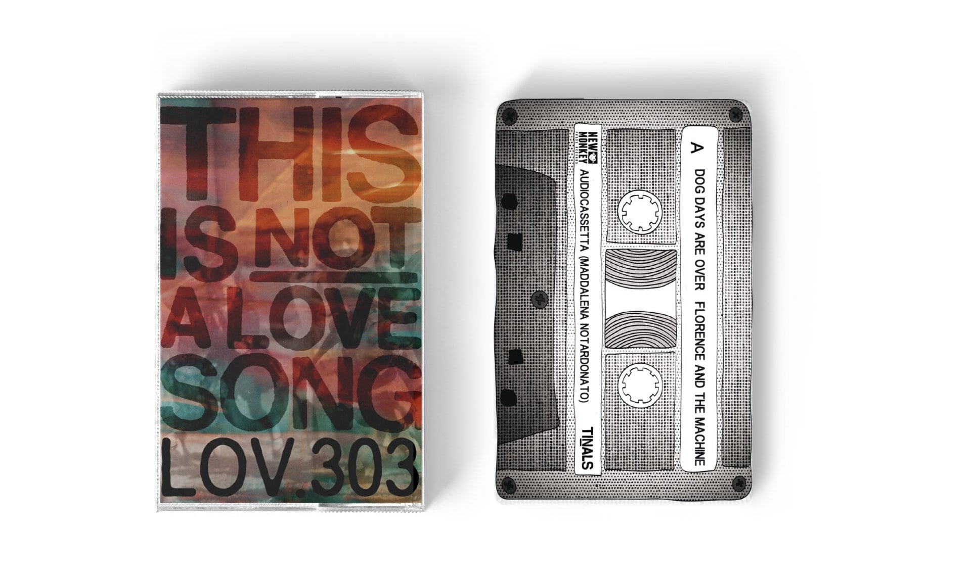 Immagine diapositiva