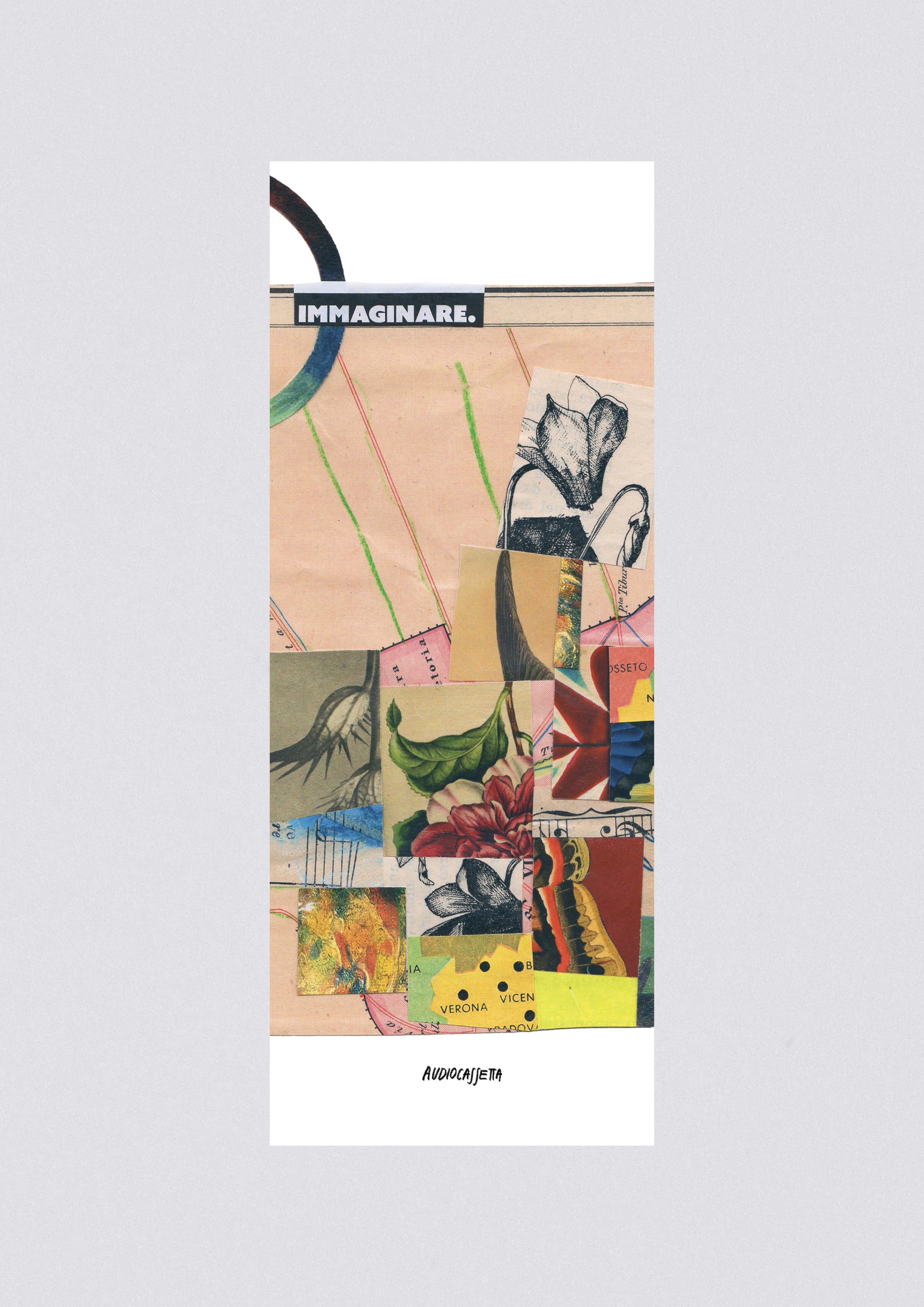 Immagine diapositiva