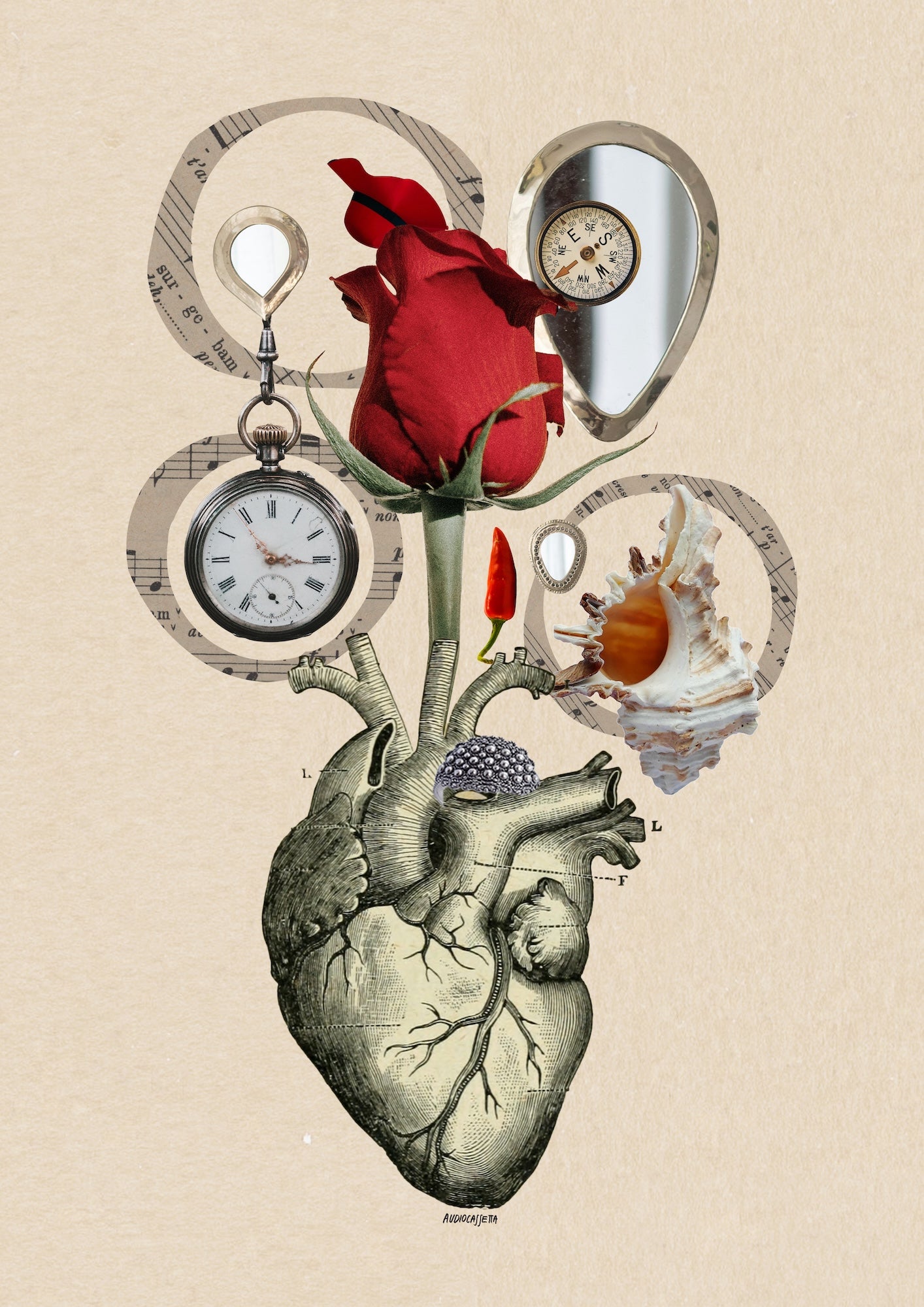 Immagine diapositiva