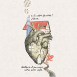 Immagine diapositiva