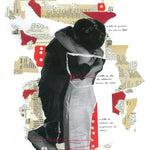 Immagine diapositiva