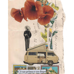 Immagine diapositiva