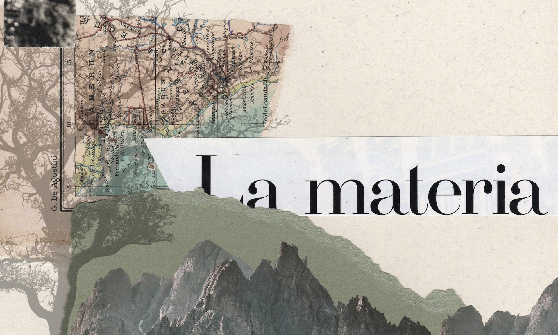 Immagine diapositiva